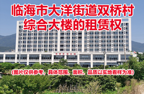 临海市大洋街道双桥村综合大楼的租赁权